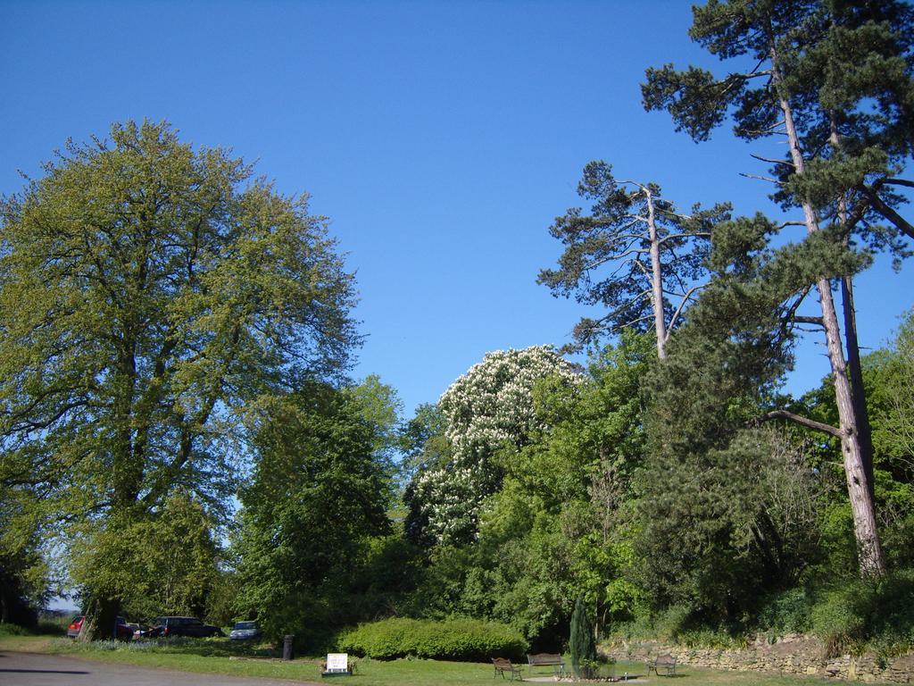 Cleeve House Bed and Breakfast Melksham Kamer foto